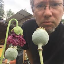 Caught these Cooper's Hawks (?) the other day in the middle of a dance-off!