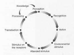 Image result for Perception Exam