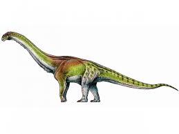 A worker stands on a ladder near the cast's back leg, another. Did Scientists Just Unveil The Biggest Dinosaur Of All Time Science Smithsonian Magazine