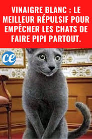 Epingle Sur Utilisations Magiques Du Vinaigre Blanc