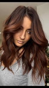 Cherry Brown Hair Loreal