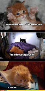 Pin By Nicole Potter On Harry Potter Humor Harry Potter Scene Harry Potter Funny Harry Potter Hermione