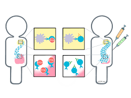 Image result for Immune Checkpoint Inhibitor