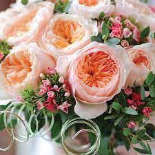 Botanic Luxury The 5 Most Expensive Flowers In The World