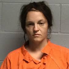 Meth and stolen property found in Polk County raid