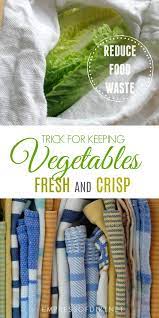Easy Trick To Keep Vegetables Fresh In Fridge | Empress Of Dirt
