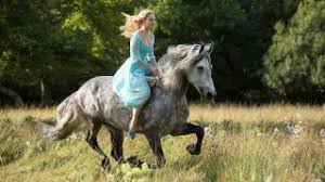 An encyclopedic dictionary of media, entertainment and other audiovisual terms. Cinderella 2015 Movie Review