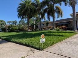 Green wing lawn & pest services. Natural Green Lawn Spraying Organic Lawn Care Near Me St Pete Fl
