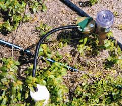 Automatic Irrigation Sswm Find Tools For Sustainable Sanitation And Water Management