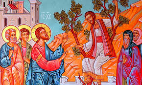 Maybe you would like to learn more about one of these? Que Dit La Bible Dieu Createur De Toute Beaute