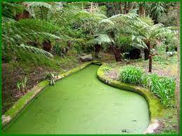 drop box jardin interieur jardin botanique jardins