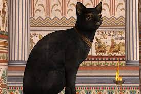 We did not find results for: Sebaiknya Mawas Diri Arti Mimpi Melihat Kucing Hitam Atau Putih Ternyata Memiliki Pertanda Buruk Dalam Kehidupan
