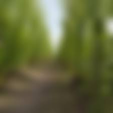 You will receive the number free of charge via the universal identification system on the bisnode platform (unique partner identification key). Anmelden Toyota Deutschland Media Website