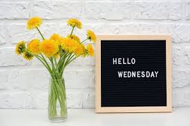 Check spelling or type a new query. 150 Beautiful Good Morning Wednesday Quotes With Images