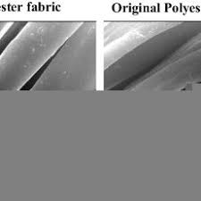 Polyester is not a durable fabric, and few cheap synthetic items are made well. Wicking Height Of Polyester And Polyester Cotton Fabrics Versus The Download Scientific Diagram