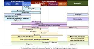 Spectrum Of Antibiotic Google Search Antibiotics Chart Antibiotics Pharmacology Pharmacology Nursing