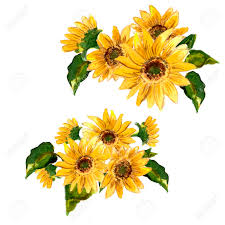 Free Free 247 Watercolor Sunflower Clipart Free SVG PNG EPS DXF File