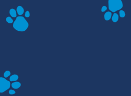 A human host welcomes his preschool audience to the blue's clues house, where his animated puppy viewers are invited to participate, with blue and her friends stopping to listen to what the audience has to say. Blue S Clues Vhs Promo Background Recreation By Josiahokeefe On Deviantart