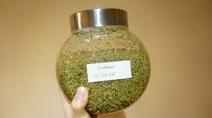 50 grams of dried rosemary for 250 ml of olive oil. How To Make Homemade Rosemary Infused Oil Diy Diy Tutorial Guidecentral Youtube