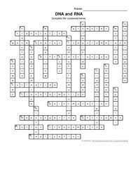 You have remained in right site to start getting this info. Dna Crossword Puzzle Worksheets Teaching Resources Tpt