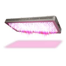 But, have you ever wondered how far most amateur indoor gardeners choose led grow lights because they have the red and blue you want to place the plants close enough that they feel the heat but not too close that it will burning them. Platinum Led Grow Lights