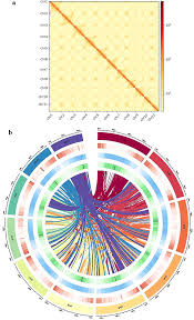 Image result for Eriosema rhynchosioides