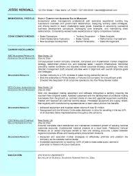 Example Business Sales Resume Free Sample L Job Resume Format Business Resume Job Resume Template
