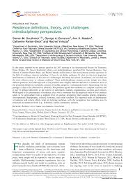 Pdf Resilience Definition Theory And Challenges