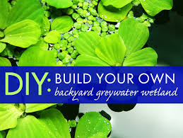 backyard greywater system