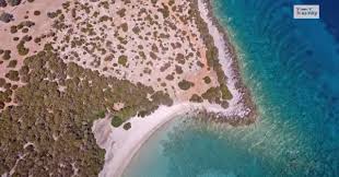 Ολα τα νέα της εύβοιας σε τίτλους. Binteo Petalioi Ths Eyboias O Tirkoyaz Paradeisos Einai Molis 2 Wres Apo Thn A8hna Xalkida Ekdhlwseis Dromologia Ktel Ose Plhrofories