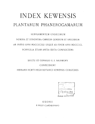 Image result for Ancistrorhynchus ovatus