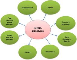 Newer insights into the role of miRNA a tiny genetic tool in psychiatric  disorders: focus