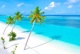 Also, die analyse dieser wetterdaten für dominikanische republik erlauben uns den durchschnittswert für jeden monat in santo domingo, bayahibe, las terrenas, puerto plata, punta cana, barahona, boca chica, isla saona, und 29 andere städte zu bestimmen. Dominikanische Republik All Inclusive Die Besten Angebote Auf Reise De