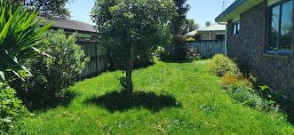 Maybe you would like to learn more about one of these? Why Do Some Parts Of My Lawn Grow Faster Then Others