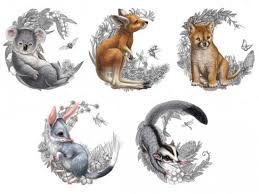 Bush Babies Illustrations For Coins Animal Illustration Koala Tattoo Animal Drawings