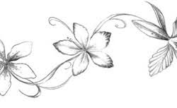 Orchids by artfullycreative on deviantar. Drawings Tattoo Flowers