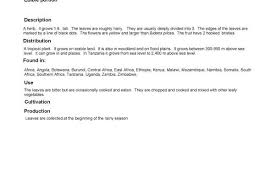 Image result for Bidens schimperi