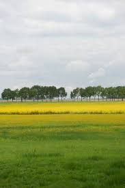 Lideke Detmers Landscape Midwolda Groningen The Netherlands 2013 Groningen Nederland Landschap