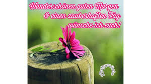 Whatsapp und facebook grüße zu fronleichnam sowie kurze texte für karten, die man vor allem an sehr gläubige menschen schicken kann. Guten Morgen Bilder Spruche Fur Whatsapp 55 Kostenlose Ideen