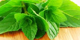 Say hello to our lightweight, stable, and super fast operating system. 5 Health Benefits Of The Peppermint Herb Nutrition Healthy Eating