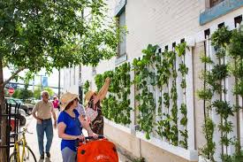 Vertical Farms Farm My City