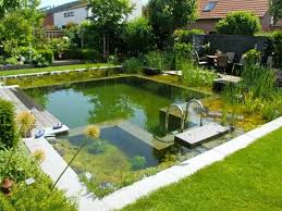 What Can A Square Backyard Do House A Phenomenal Place To Swim This Shot Of A Backyard Swimm Natural Swimming Pools Swimming Pool Pond Natural Swimming Ponds