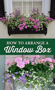 Dress up your deck with this gorgeous flower combination for full sun. How To Arrange A Window Box Crocker Nurseries
