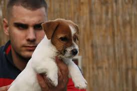 Clifford and Clint, two brothers💙