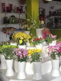 Maybe you would like to learn more about one of these? D M Wholesale Flowers Flowers And Floral Arrangements In San Marcos Ca