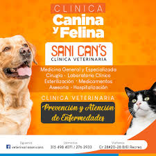 Veterinaria en Palmira - Clinica Veterinaria SaniCans Palmira