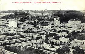 Page Wiki Libre Fruitiersenville
