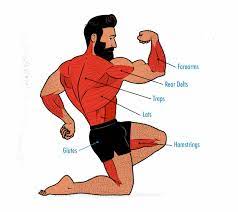 Is it all that hard? The Deadlift Hypertrophy Guide Outlift
