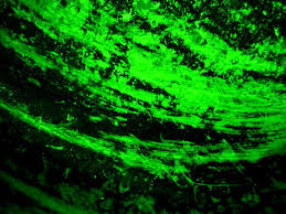 ❤ get the best green wallpaper hd on wallpaperset. Neon Green Wallpaper Pc Novocom Top