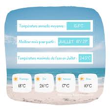 N'hésitez pas à visiter nos autres liens pour poursuivre votre consultation sur des offres identiques aux annonces gratuites location immobilière à rosas publiées tous les jours. Tourisme Dans La Belle Ville De Rosas En Espagne Costa Brava Tour